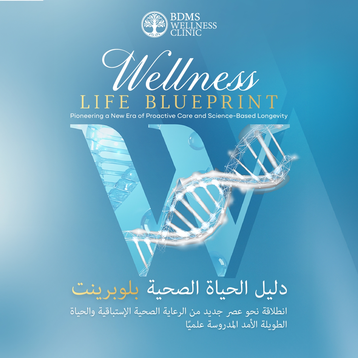 Wellness Life Blueprint